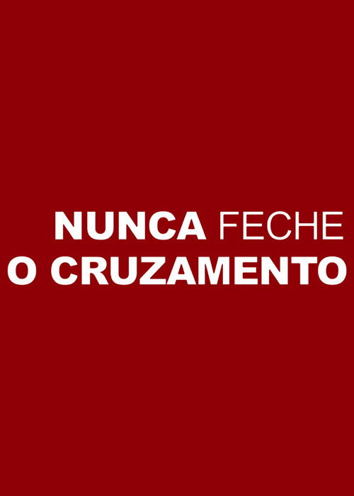 Nunca Feche o Cruzamento (2011) poster