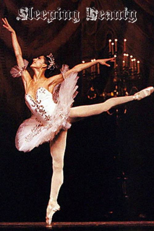 Sleeping Beauty (1991) poster