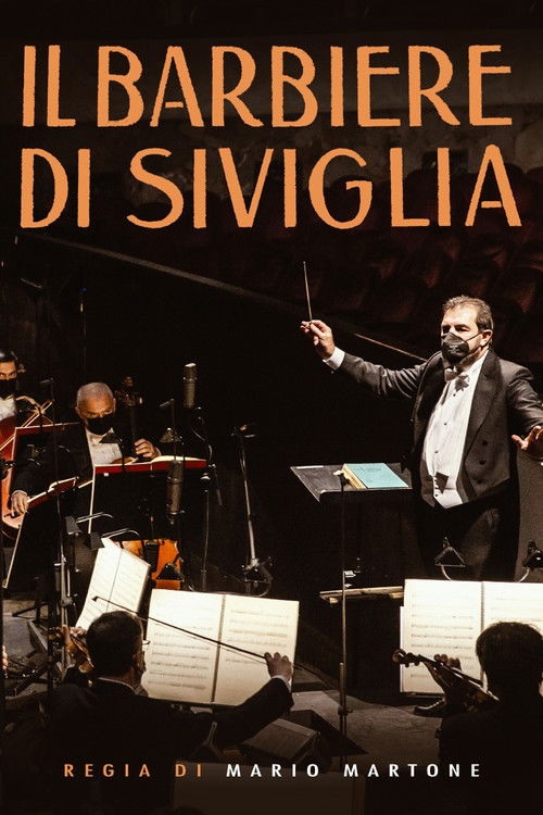 Il barbiere di Siviglia (2020) poster