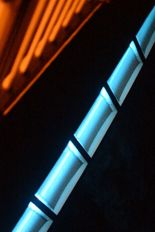 The Will to Act Rashly (2021) poster