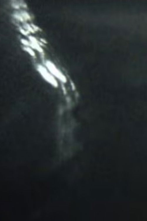 what she would not leave behind. (2007) poster