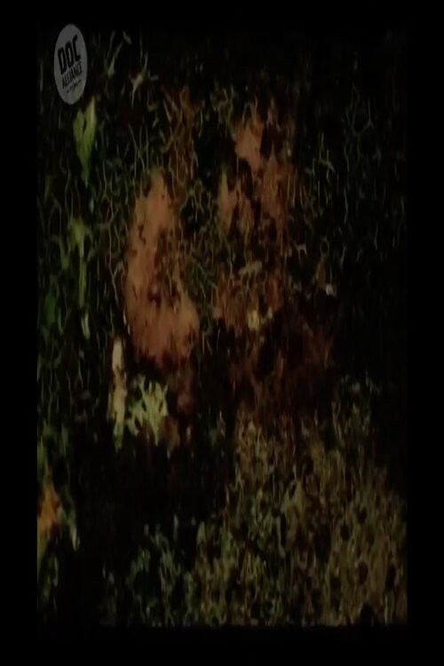 The Lovers (2004) poster