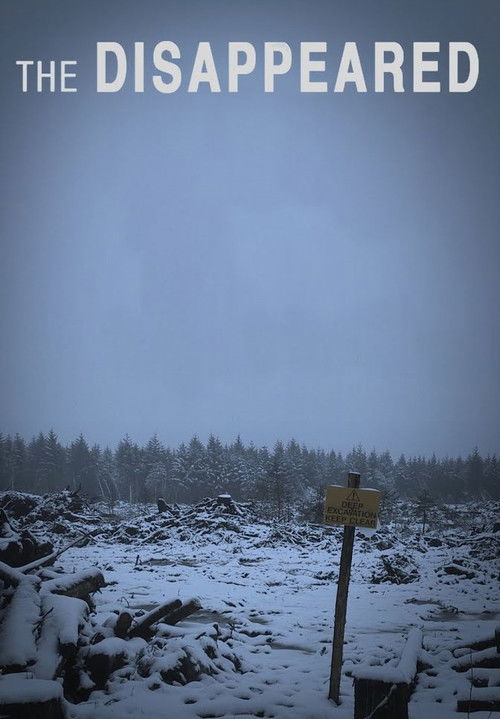 The Disappeared (2013) poster
