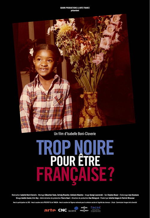 Too Black to Be French? (2015) poster