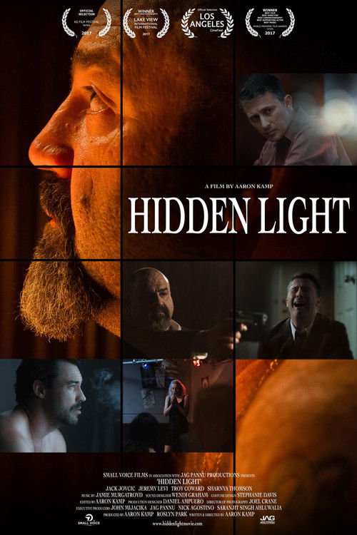 Hidden Light (2018) poster