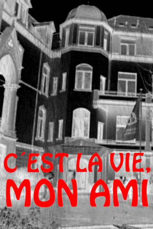 C'est la vie, mon ami (2001) poster
