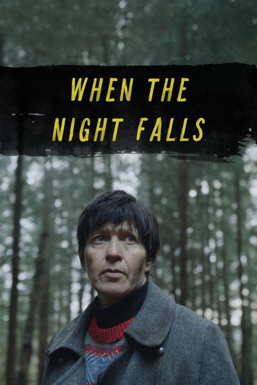 When the Night Falls (2022) poster