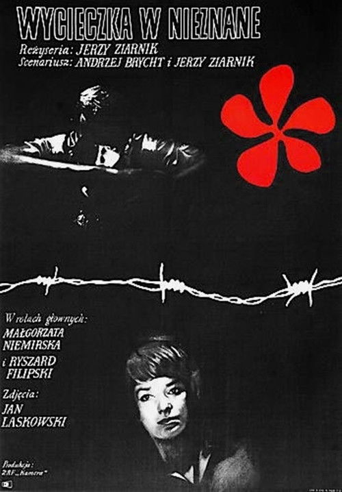 Wycieczka w nieznane (1968) poster