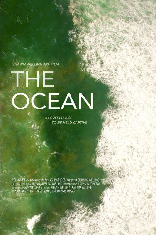 The Ocean (2016) poster