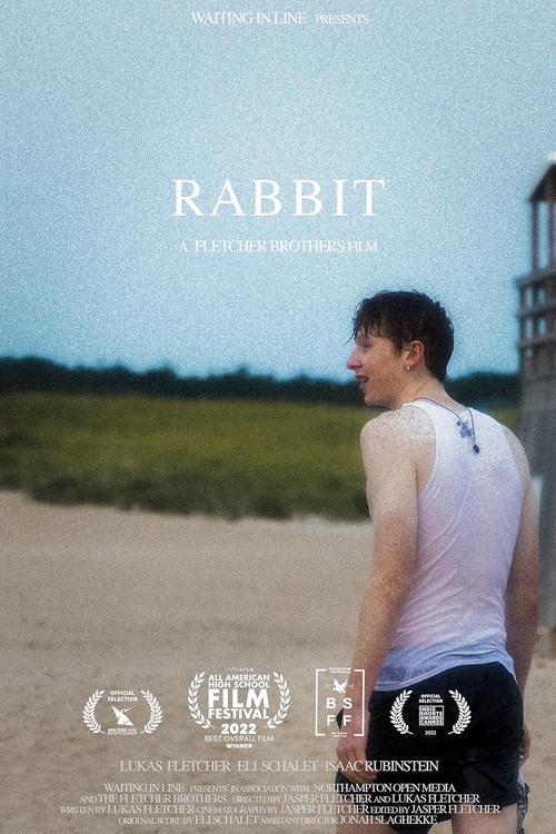 RABBIT (2022) poster