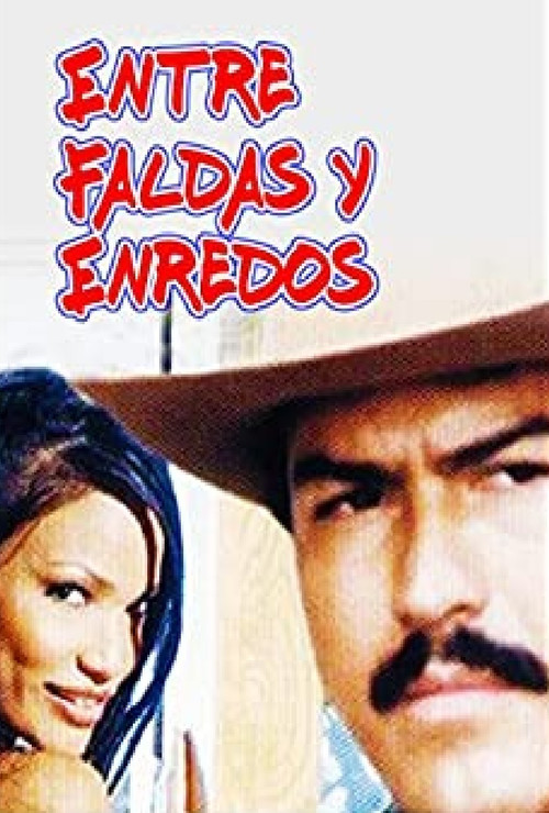 Entre faldas y enredos (2000) poster