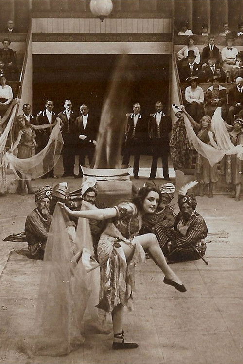 Des Lebens ungemischte Freude (1917) poster