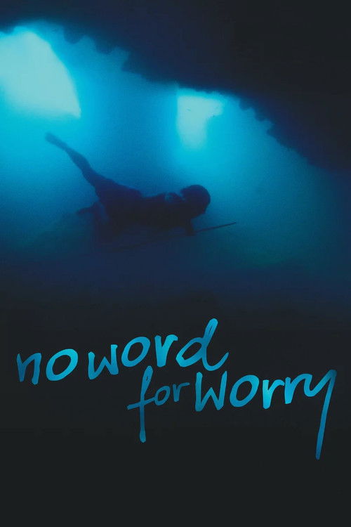 No Word For Worry (2014) poster
