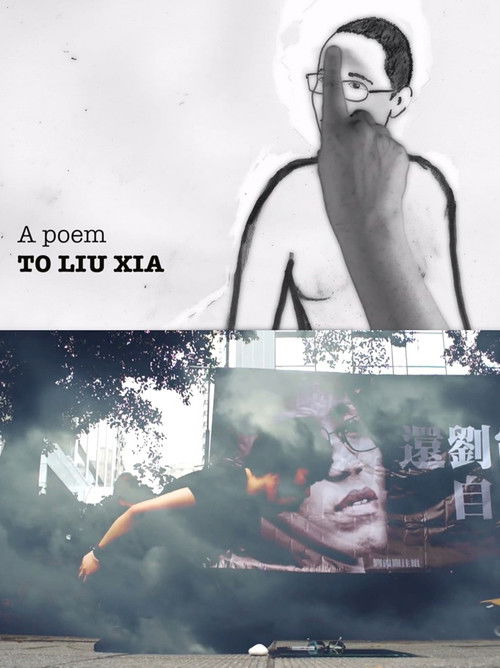 A Poem to Liu Xia (2015) poster