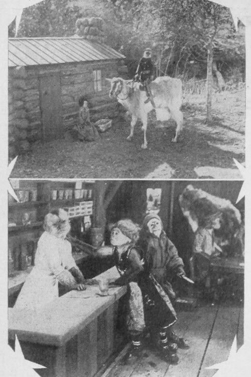 North of 50-50 (1924) poster