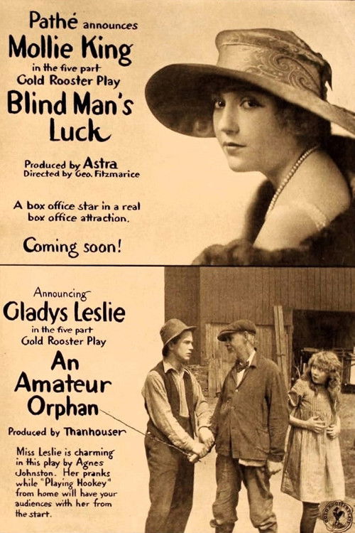 Blind Man's Luck (1917) poster