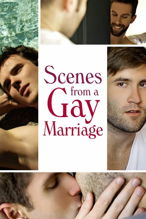 Scenes from a Gay Marriage (2012) poster