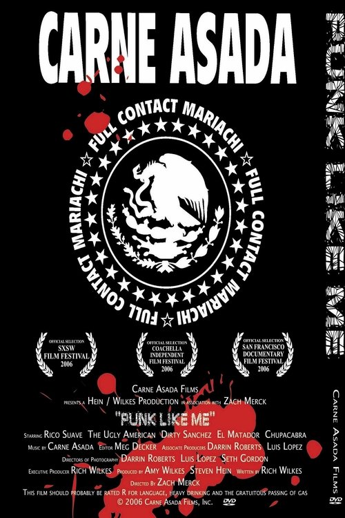 Punk Like Me (2006) poster