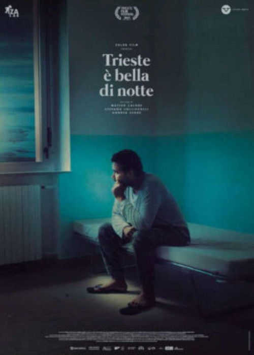 Trieste Shines at Night (2023) poster
