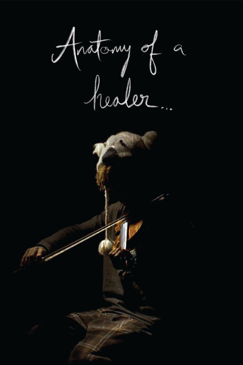 Anatomy of a Healer poster