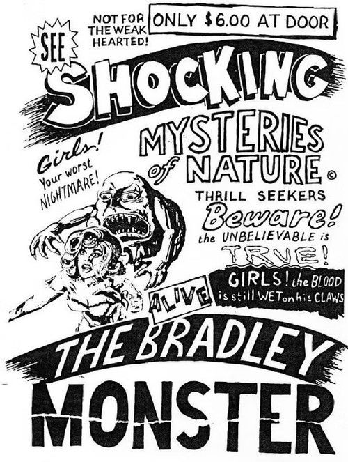 Basket Case 3-1/2: An Interview With Duane Bradley (2018) poster