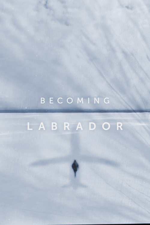 Becoming Labrador (2019) poster