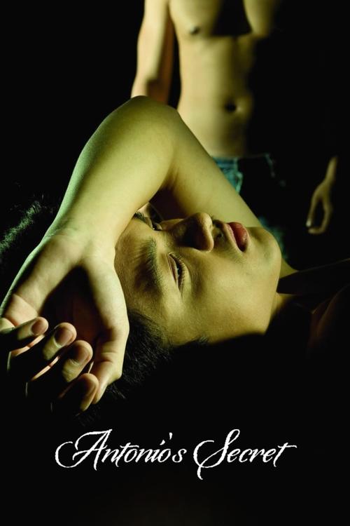 Antonio's Secret (2008) poster