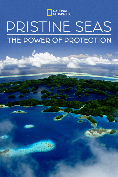 Pristine Seas: The Power of Protection (2021) poster