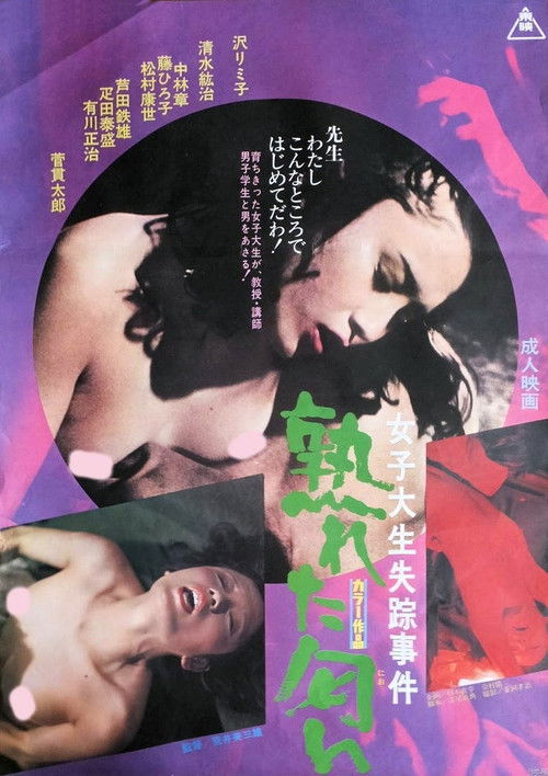 A College Girl's Affairs (1974) poster