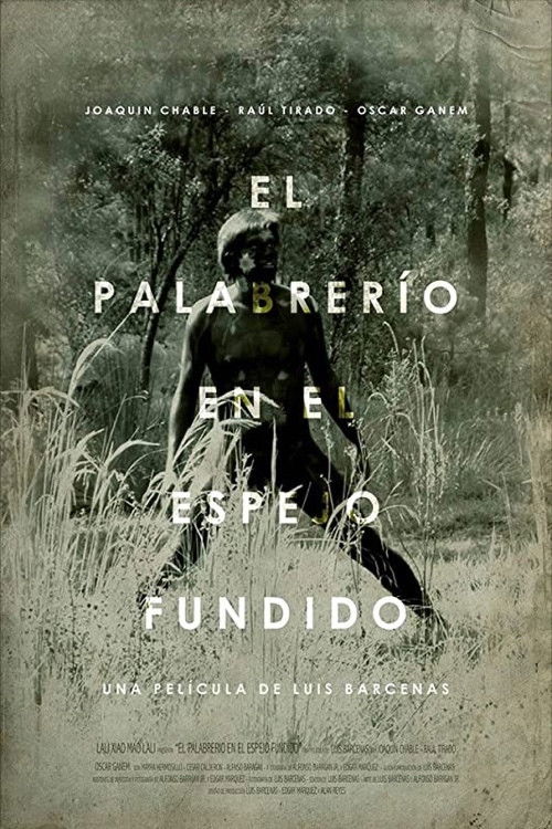 El palabrerío en el espejo fundido (2021) poster