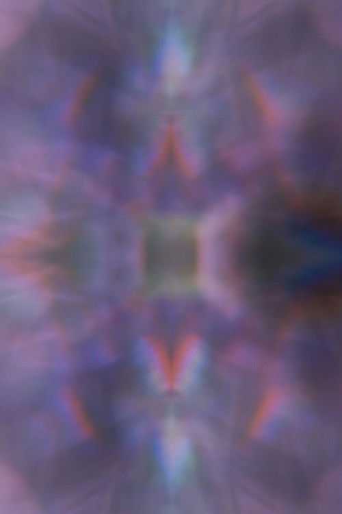 Orchid (2025) poster