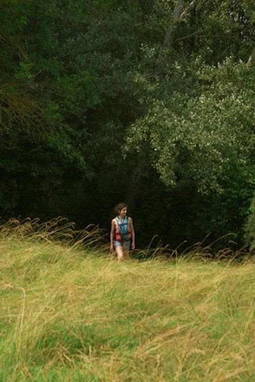 L'Amie du dimanche (2018) poster