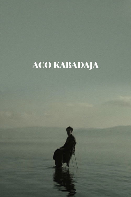 Aco Kabadaya (2011) poster