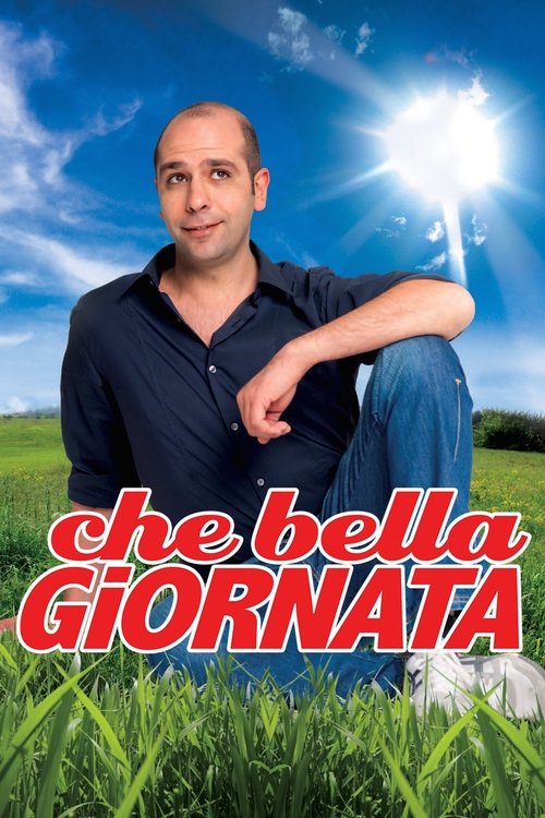 Che bella giornata (2011) poster