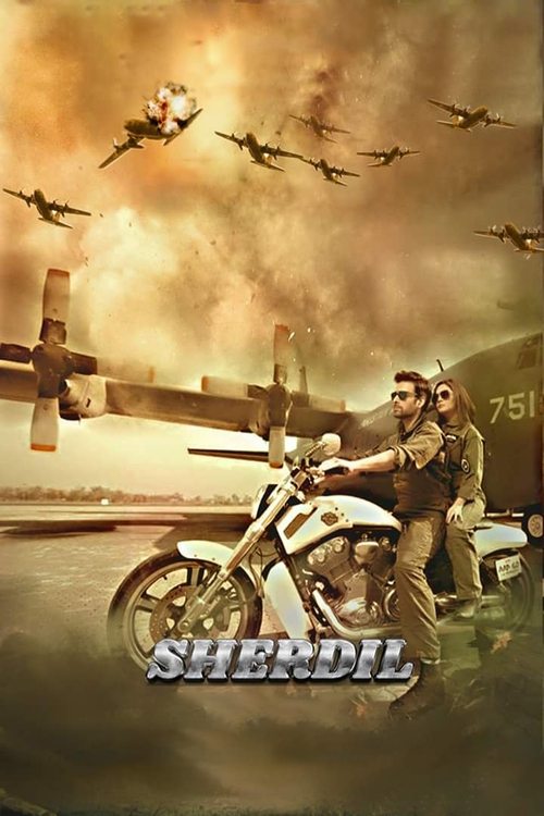 Sherdil (2019) poster
