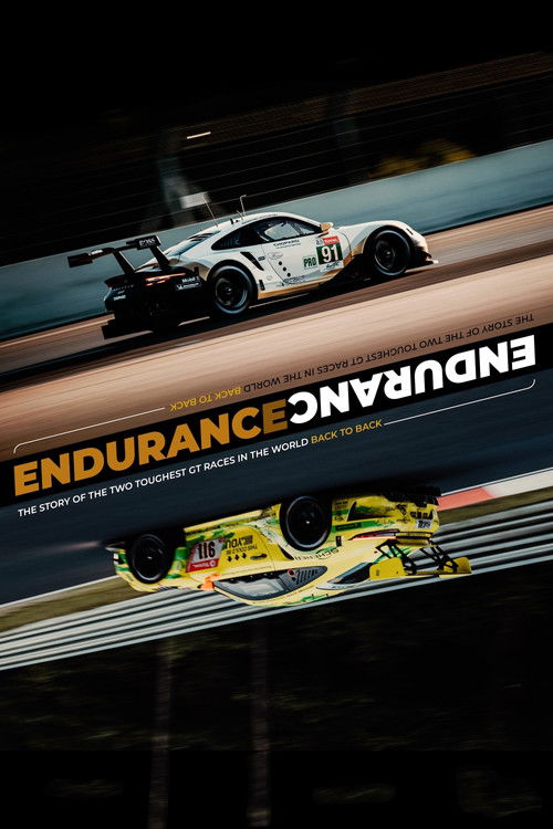 ENDURANCE (2020) poster
