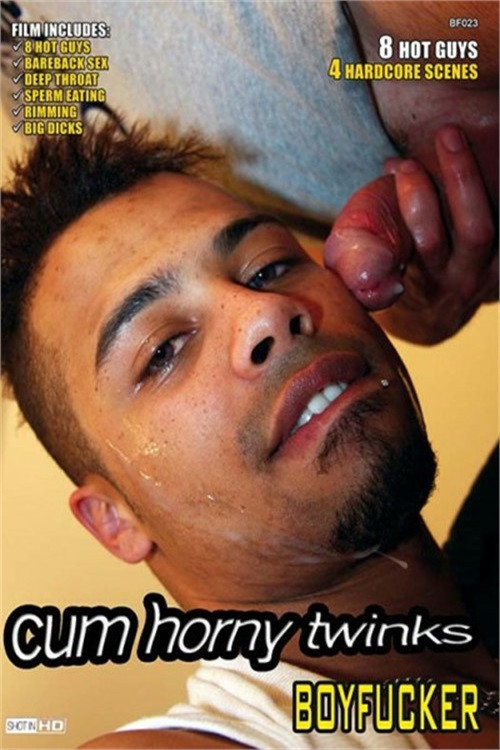 Cum Horny Twinks (2022) poster