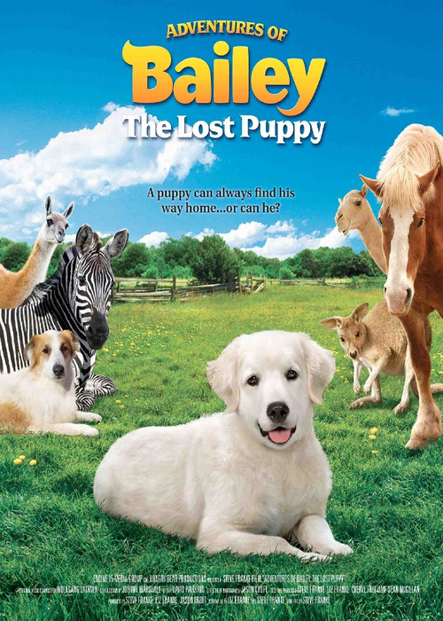 Adventures of Bailey: The Lost Puppy (2011) poster