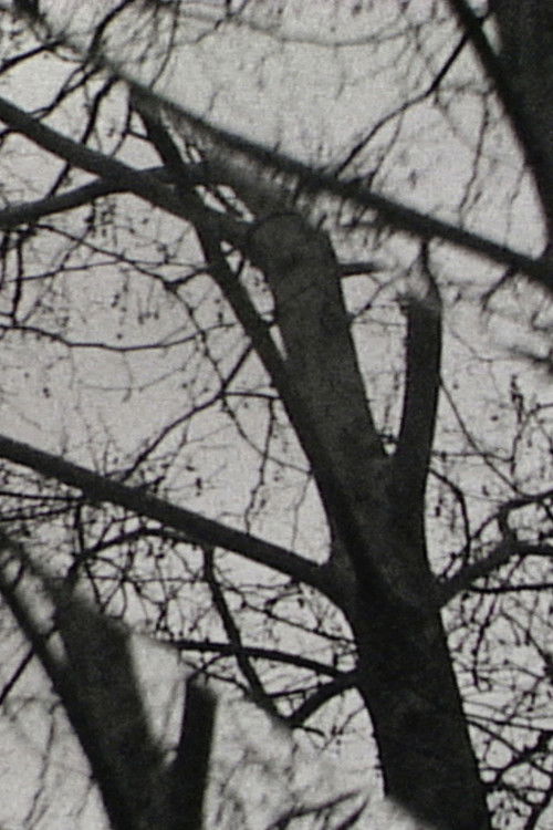 Triple Exposure (2013) poster