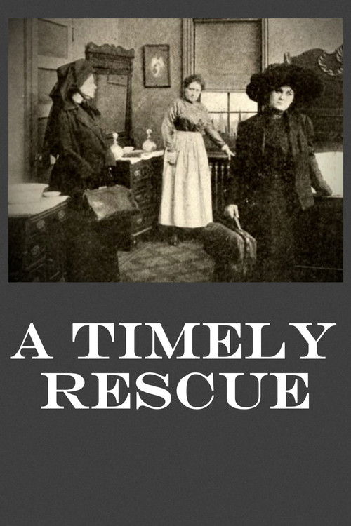 A Timely Rescue (1913) poster