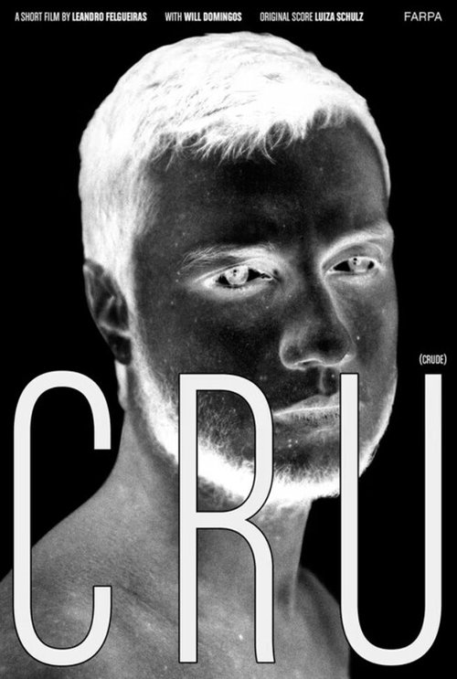 Crude (2016) poster