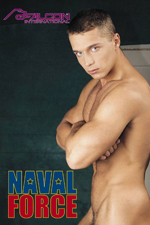 Naval Force (2001) poster