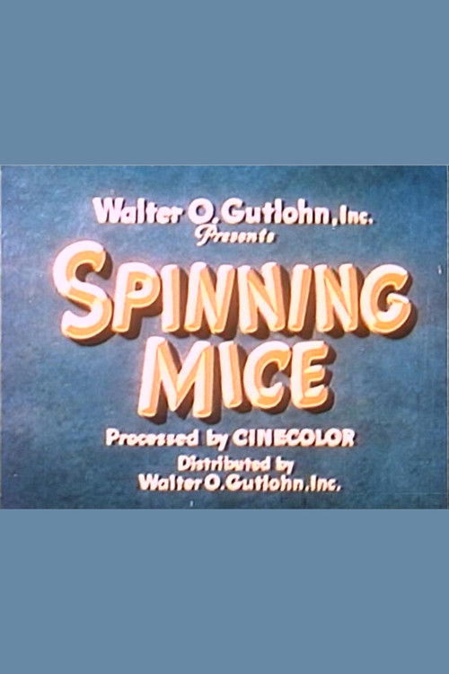 Spinning Mice (1935) poster