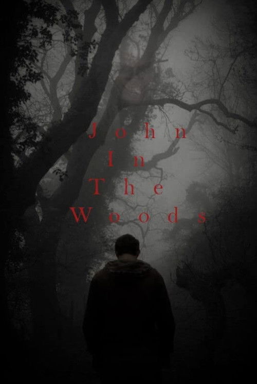 John in the Woods (2021) poster