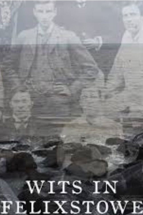 Wits in Felixstowe (2018) poster