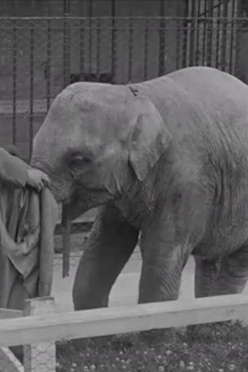 The Thirteenth Instant (1940) poster