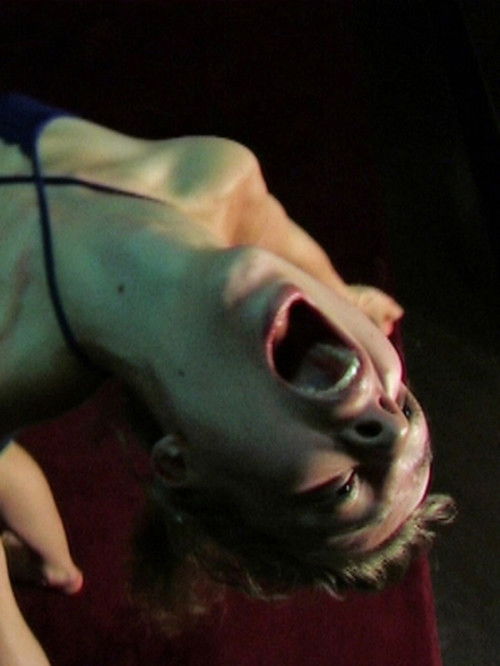 Burning Palace (2009) poster