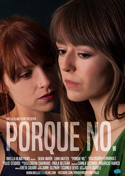 Porque no. (2016) poster