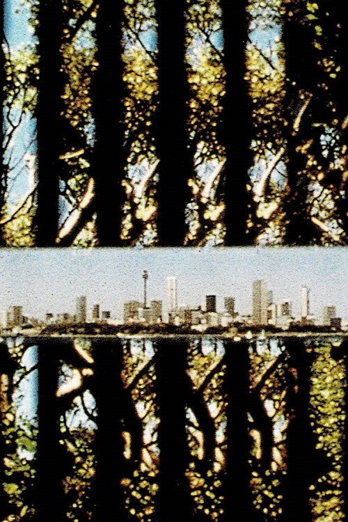Sydney-Bush (1980) poster