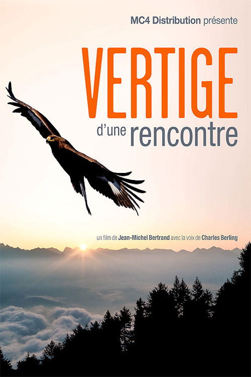Vertige d'une rencontre (2010) poster